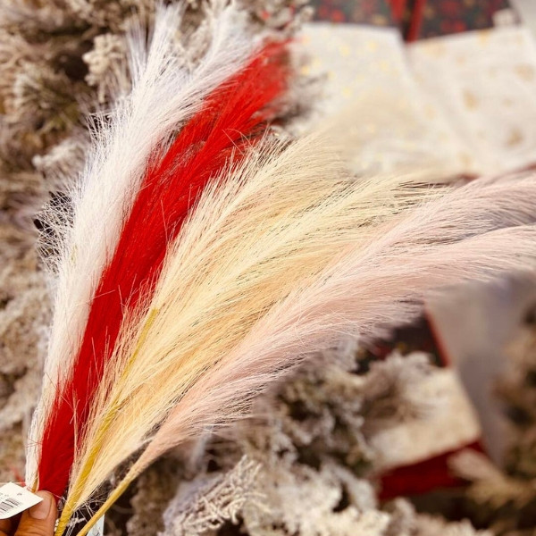 Colored Feather as Decoration for Christmas Tree